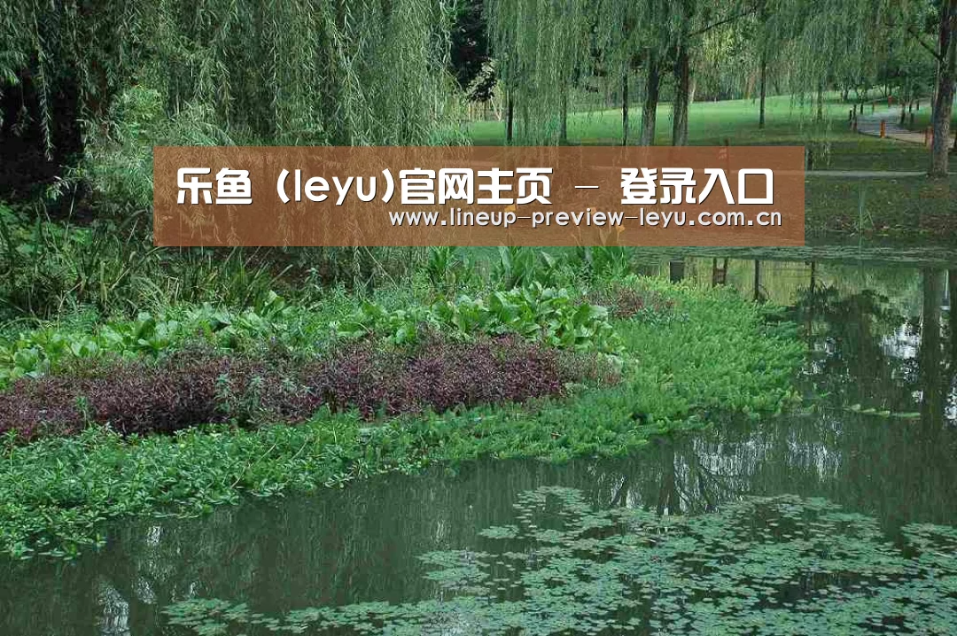 案例展示一(图1)