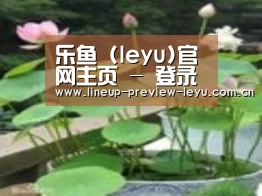 产品名称一