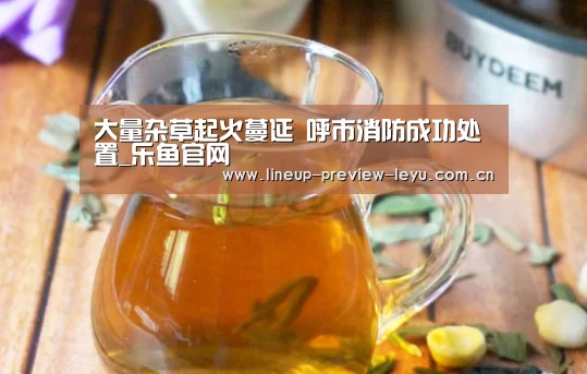 大量杂草起火蔓延　呼市消防成功处置_乐鱼官网